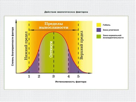 Организмы как фактор эрозии